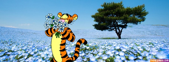 fbcover-tigger-flowers-field-blue