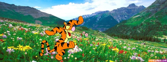 fbcover-tigger-flowers-mountains