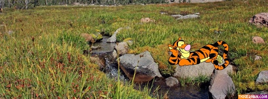 fbcover-tigger-meadow-butterfly