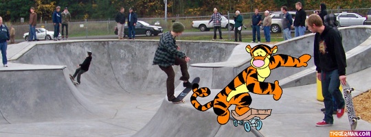 fbcover-tigger-skatepark