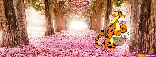 fbcover-tigger-flowers-forest