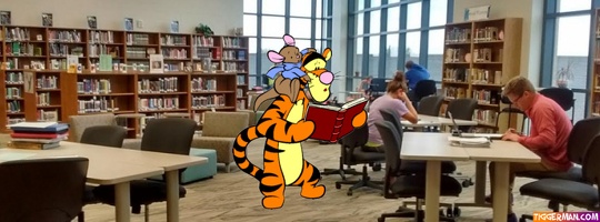 fbcover-tigger-library